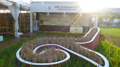 บริษัท ข้าวรัชมงคล จำกัด 