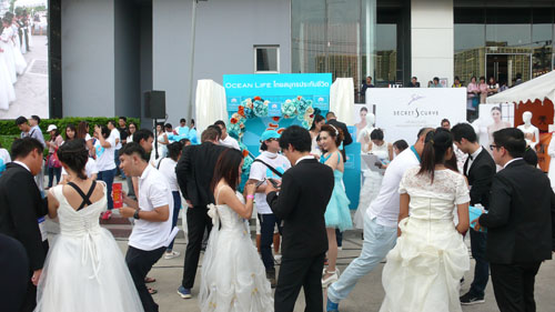 Running of the BRIDES