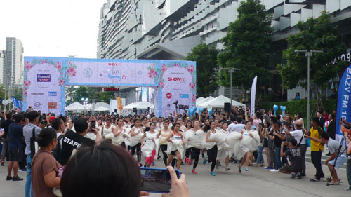 Running of the BRIDES